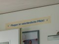 100_1351.jpg