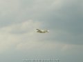 florida0032.JPG