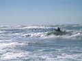 florida_2005_37.jpg