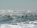 florida_2005_38.jpg