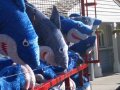 florida_2005_44.jpg