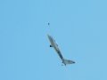 LOAU Flugtag_361.JPG