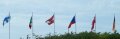 100_2299.jpg