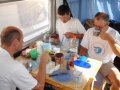 20Juli06_01.jpg