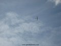 IMG_0752.jpg